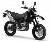 2010 Yamaha WR250X photo